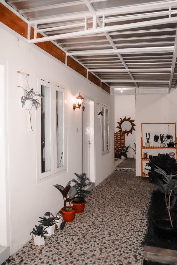 Tropical Paradiso Homestay Banyuwangi  Zewnętrze zdjęcie